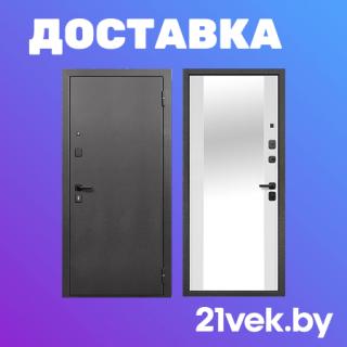 Входные двери с зеркальной и металлической отделкой