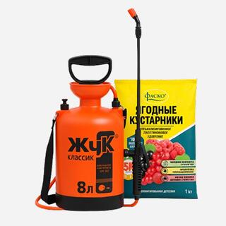 Садовый опрыскиватель Жук Классик 8 литров и удобрение Фаско для ягодных кустарников