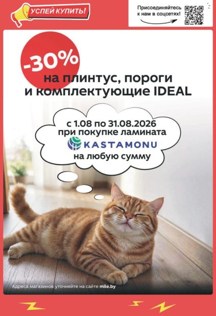 Mile: ламинат и комплектующие Ideal с плинтусами и порогами.