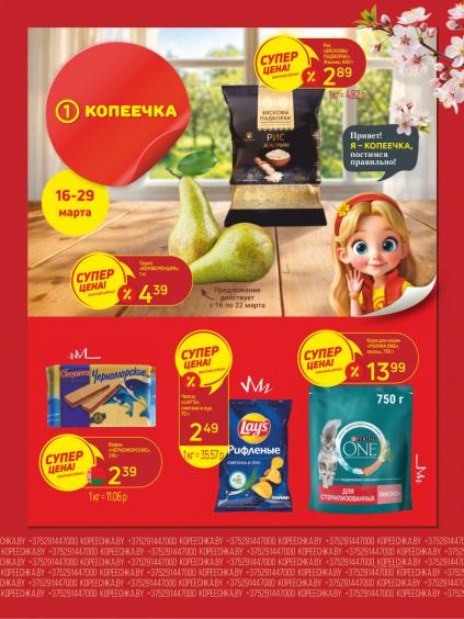Листовки от Магазин Копеечка акции и скидки