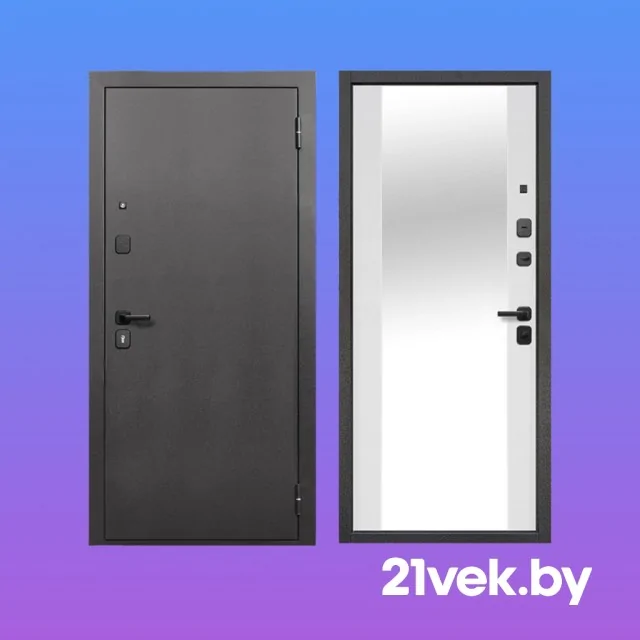 Входные двери с зеркальной и металлической отделкой.